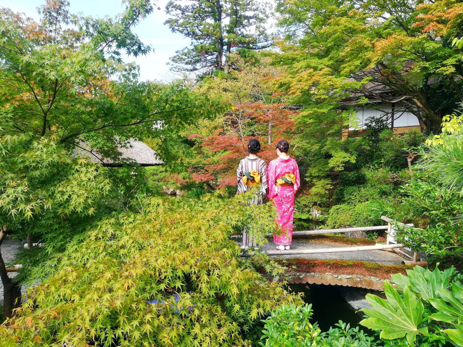 色付き始めましたヽ(´▽`)/