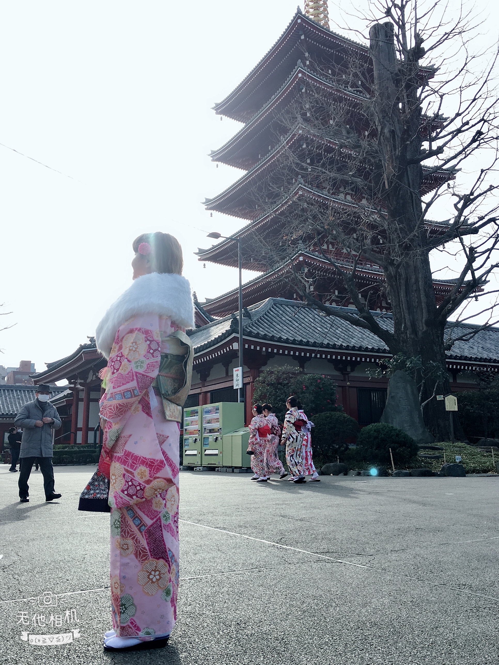 初詣の予定はお決まりですか？