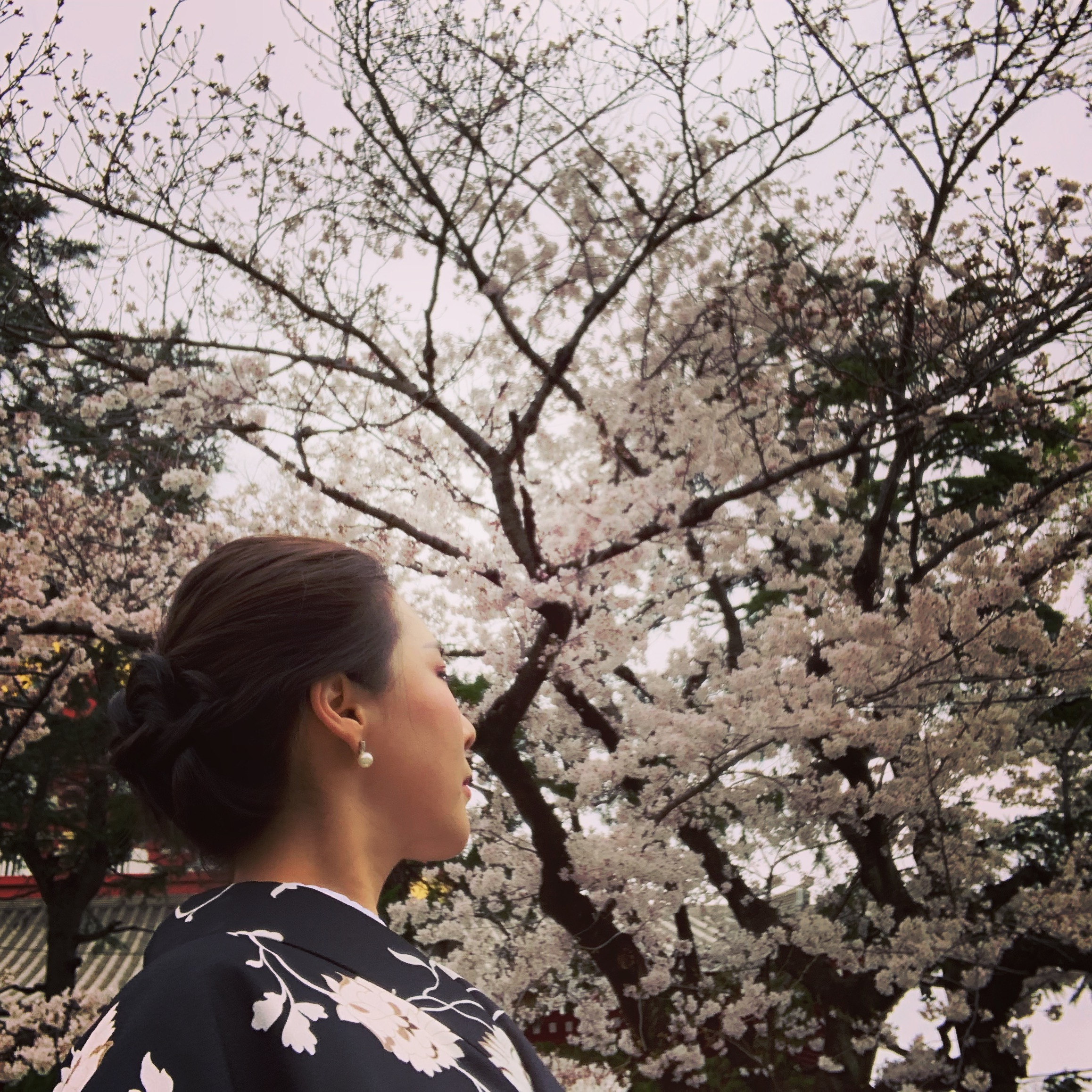 お花見♫