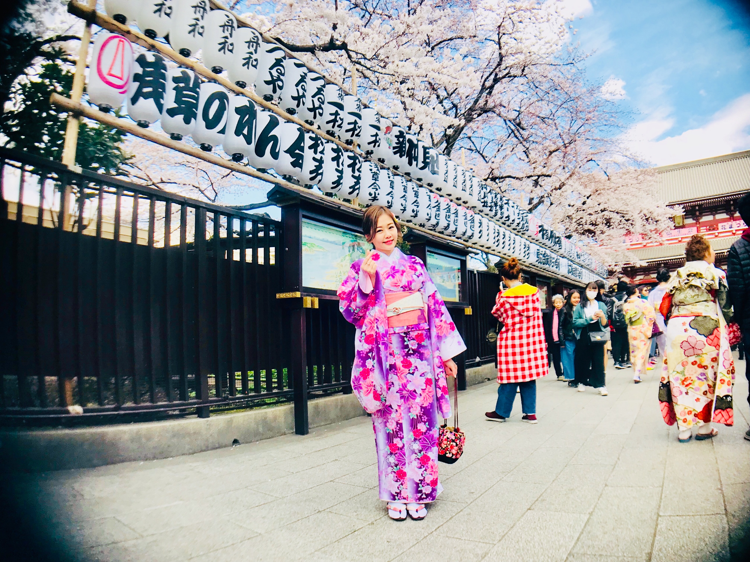 桜満開です(^O^)