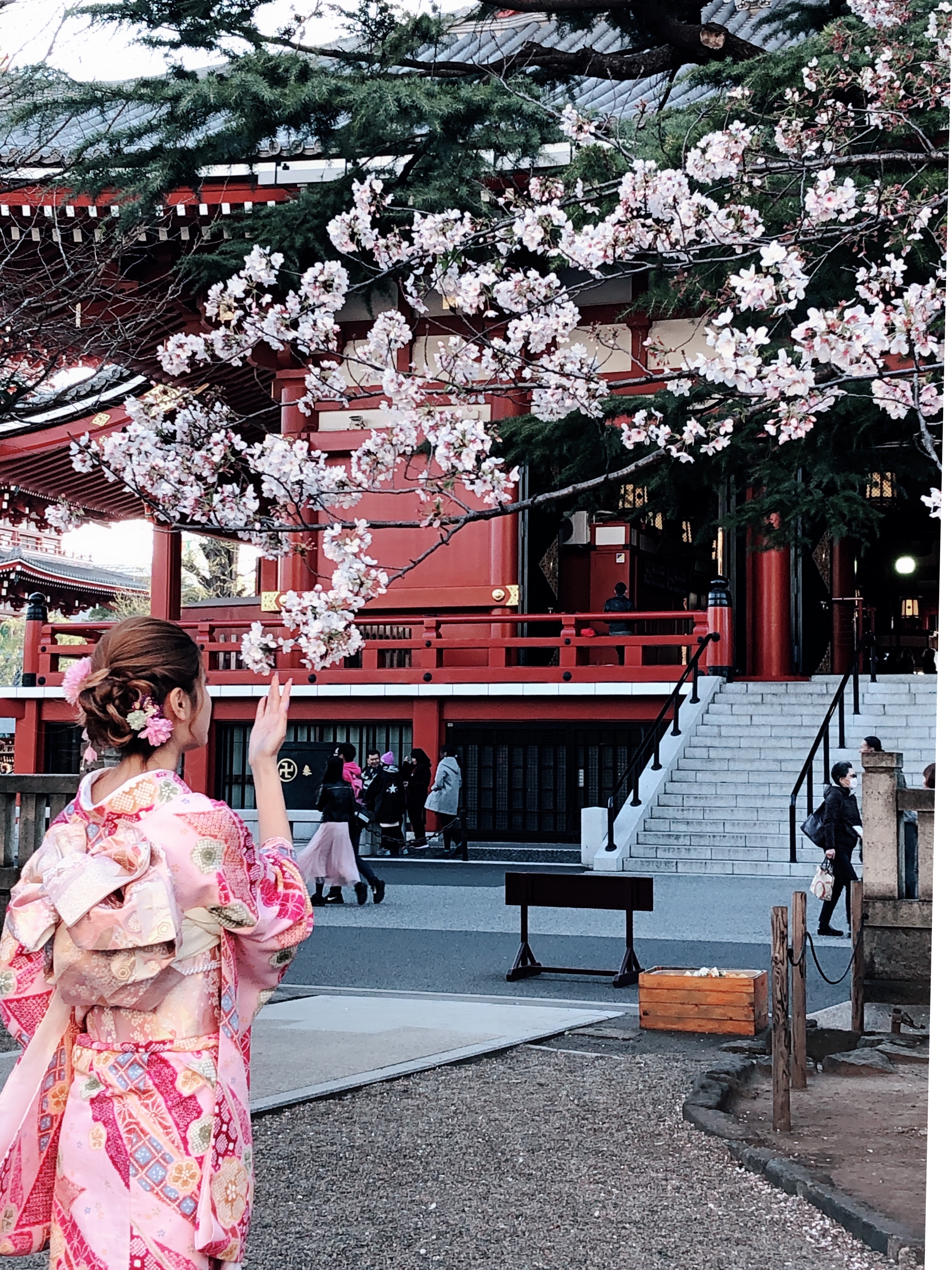 桜もあと少し!