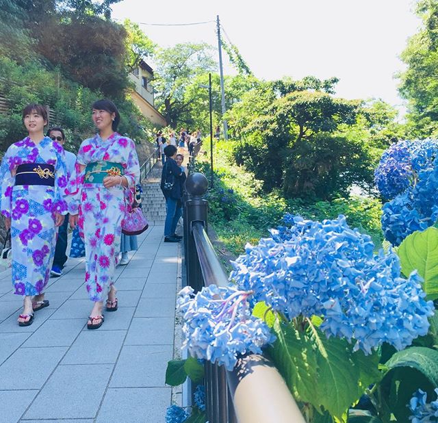 夏はおしゃれに浴衣を着ませんか？夏にピッタリのコーディネートをご紹介