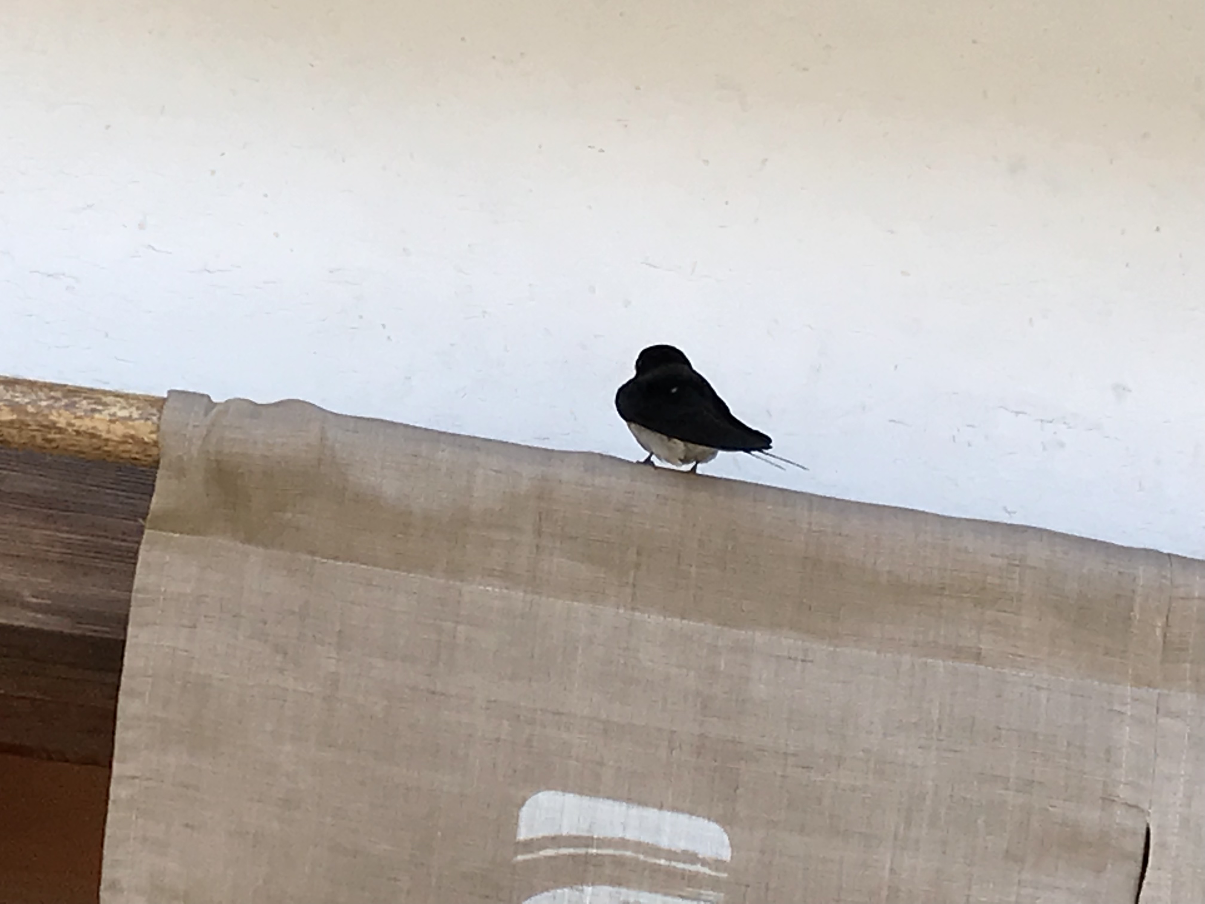 GWのご予約まだ承れます！