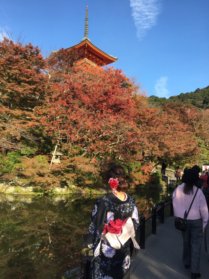 着物で紅葉ライトアップいかがですか？(*^▽^*)