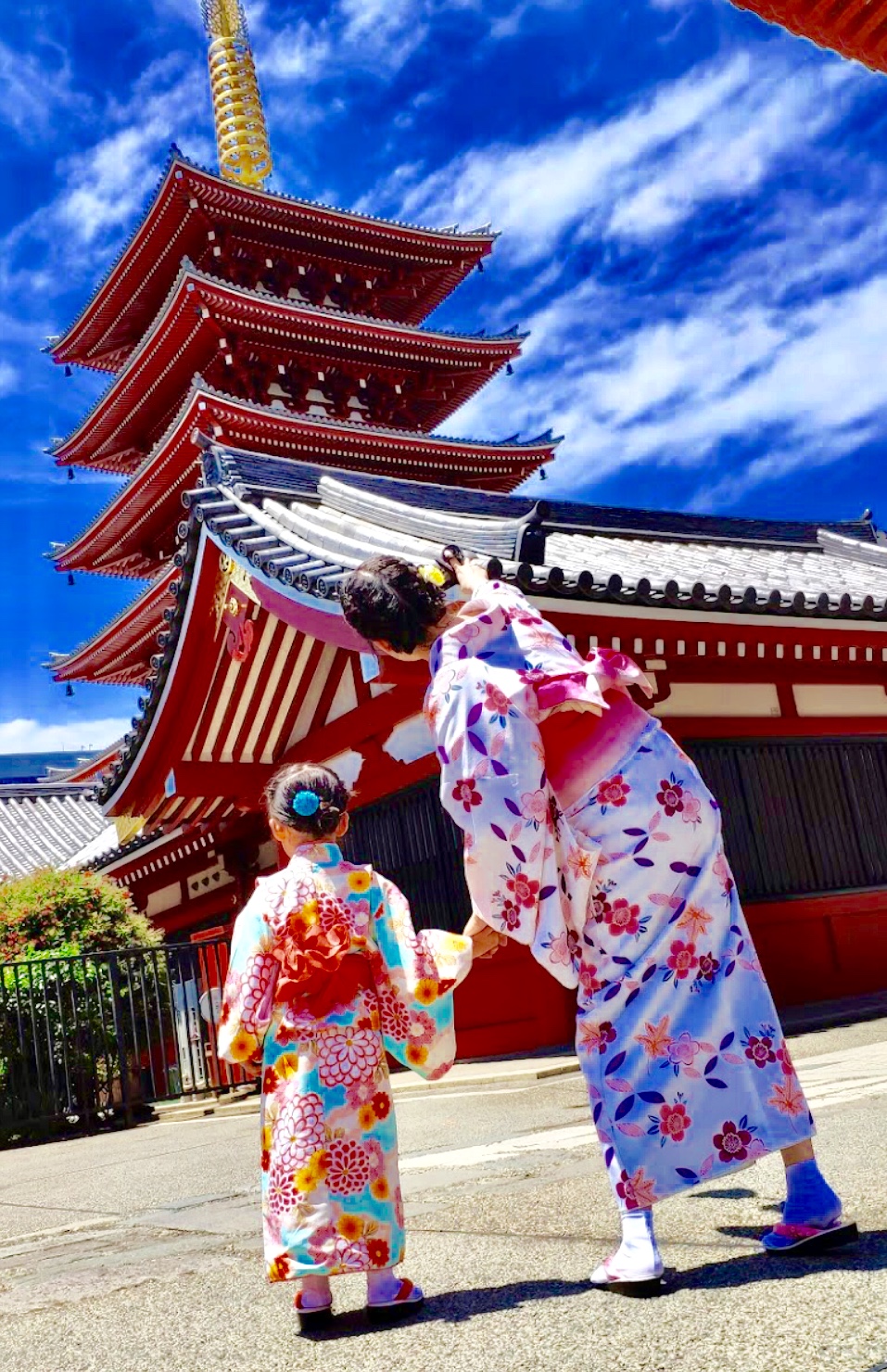 いいお天気です(๑>◡<๑)