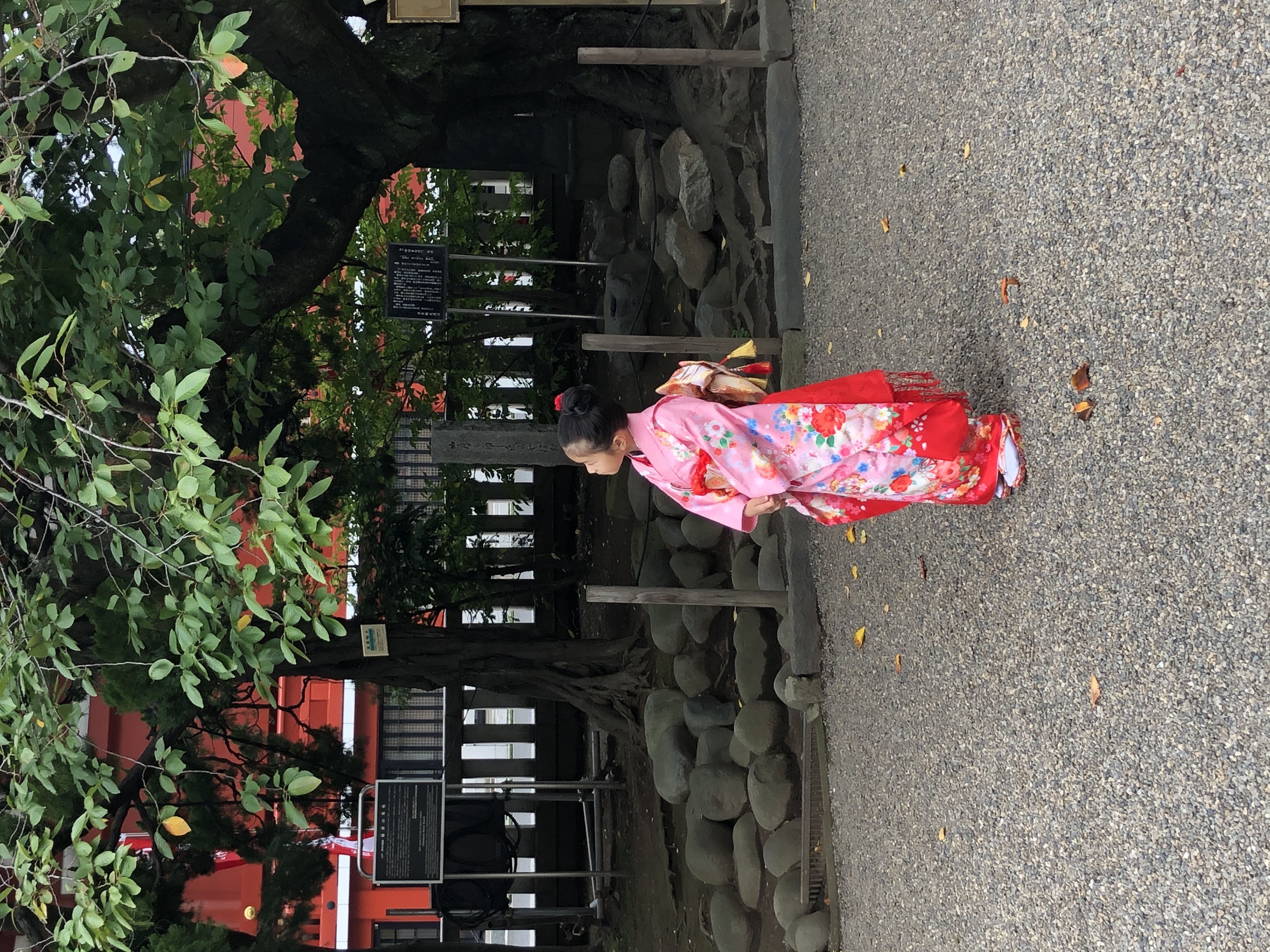 七五三お下見気軽にお越しください❤︎