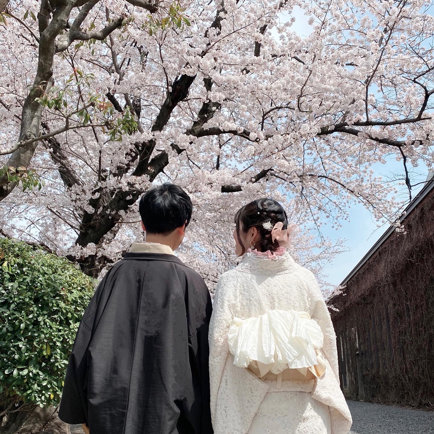 桜で素敵なお写真を☆