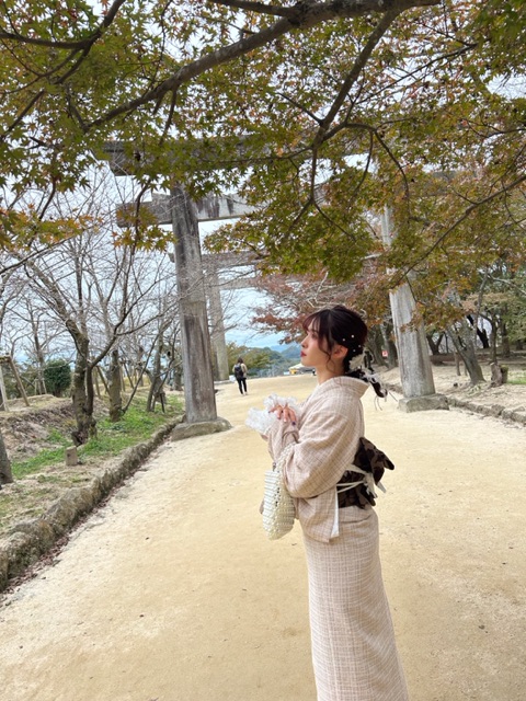 観光に♪