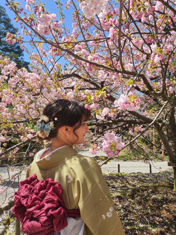 金沢兼六園店♡桜